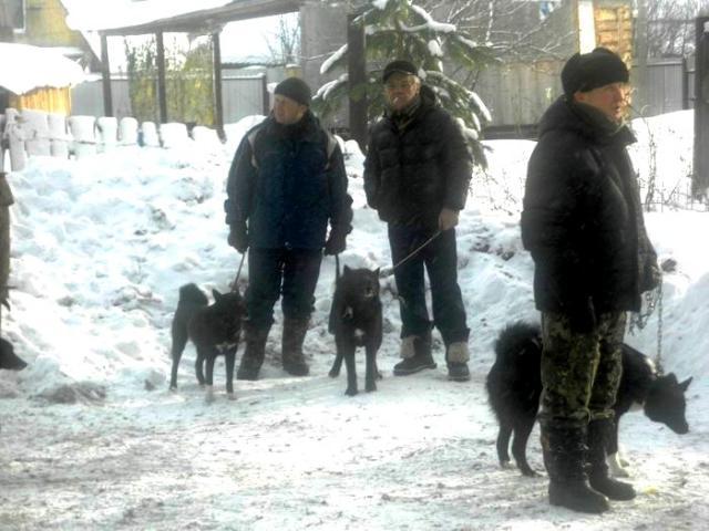 Баранов с собаками.jpg